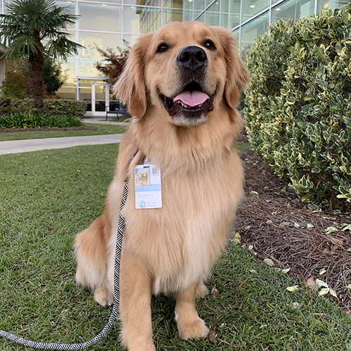 Instagram網(wǎng)紅推薦：美國旅行日常博主以及寵物達(dá)人